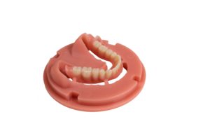 Denture baltique sur fond blanc