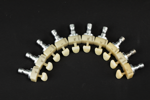 Dental crowns arranged in a curved layout